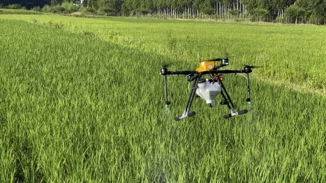 港区で人気のドローンスクールを比較 〜初心者も安心の教室選び〜